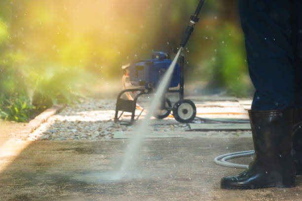 Best Spring Cleaning  in Petaluma, CA