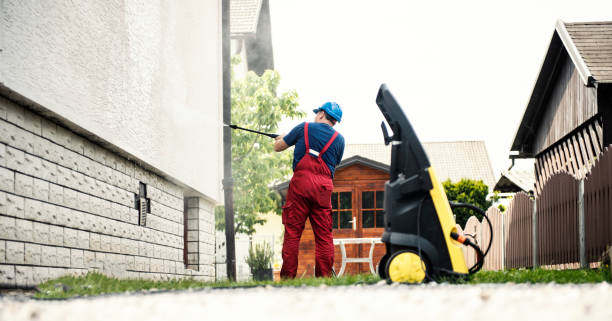 Best Graffiti Removal  in Petaluma, CA